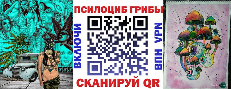 Псилоцибиновые грибы мухоморы  mega зеркало  Тайга  дарнет шоп 